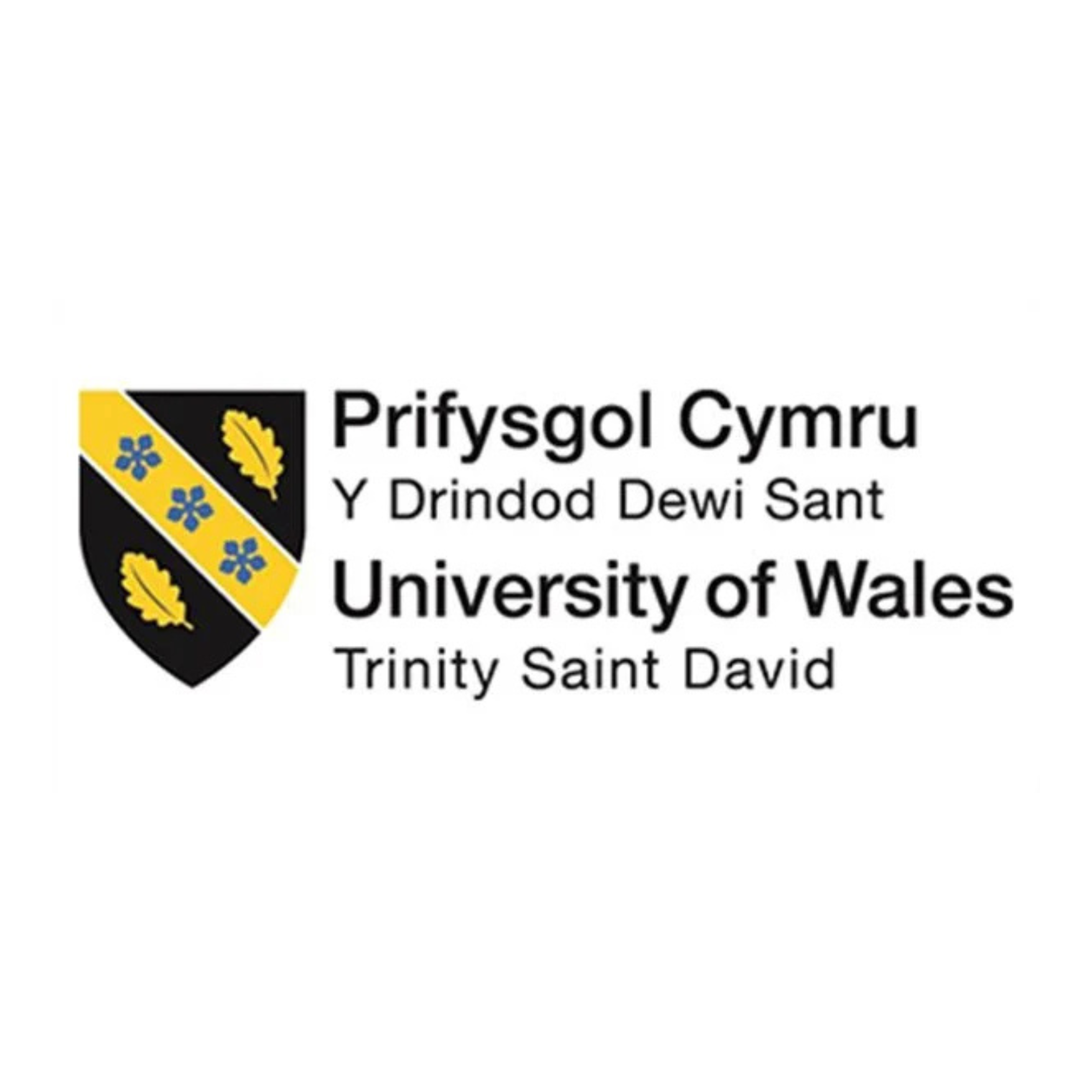10 Trinity St Davids
